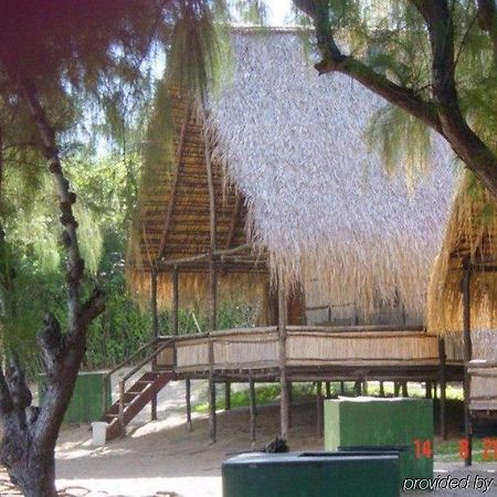 Casa Barry Beach Lodge Tofo Экстерьер фото