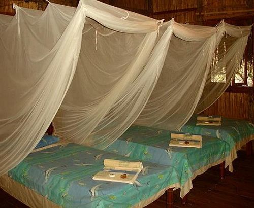 Casa Barry Beach Lodge Tofo Экстерьер фото